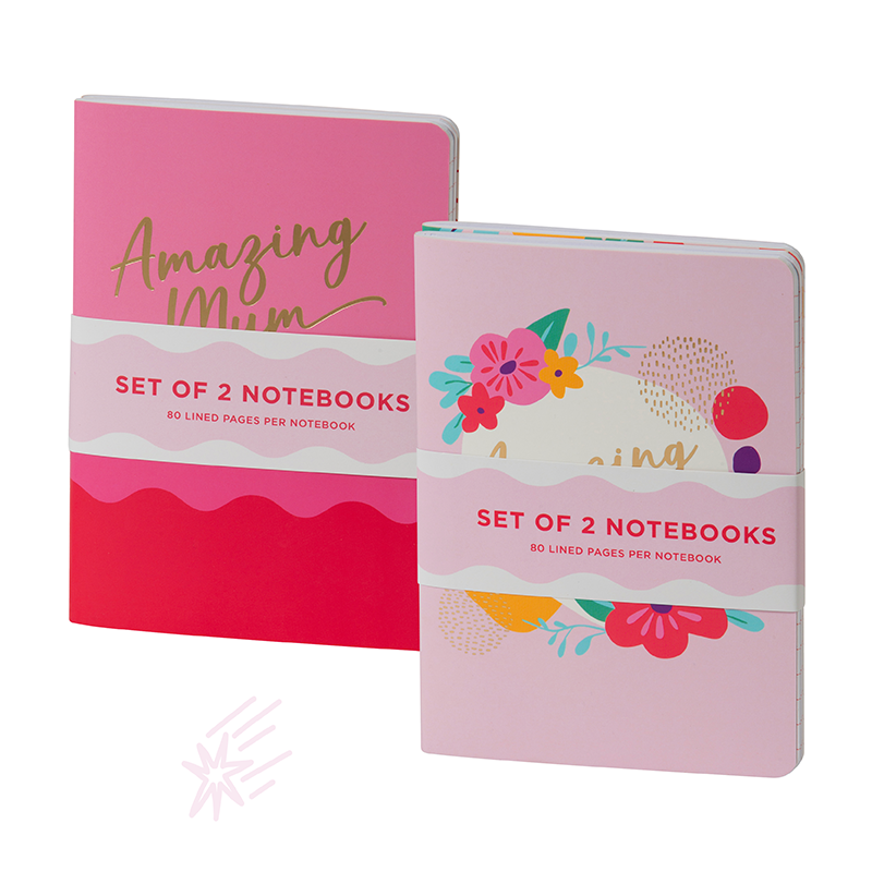 A6 Notebooks Set Of 2