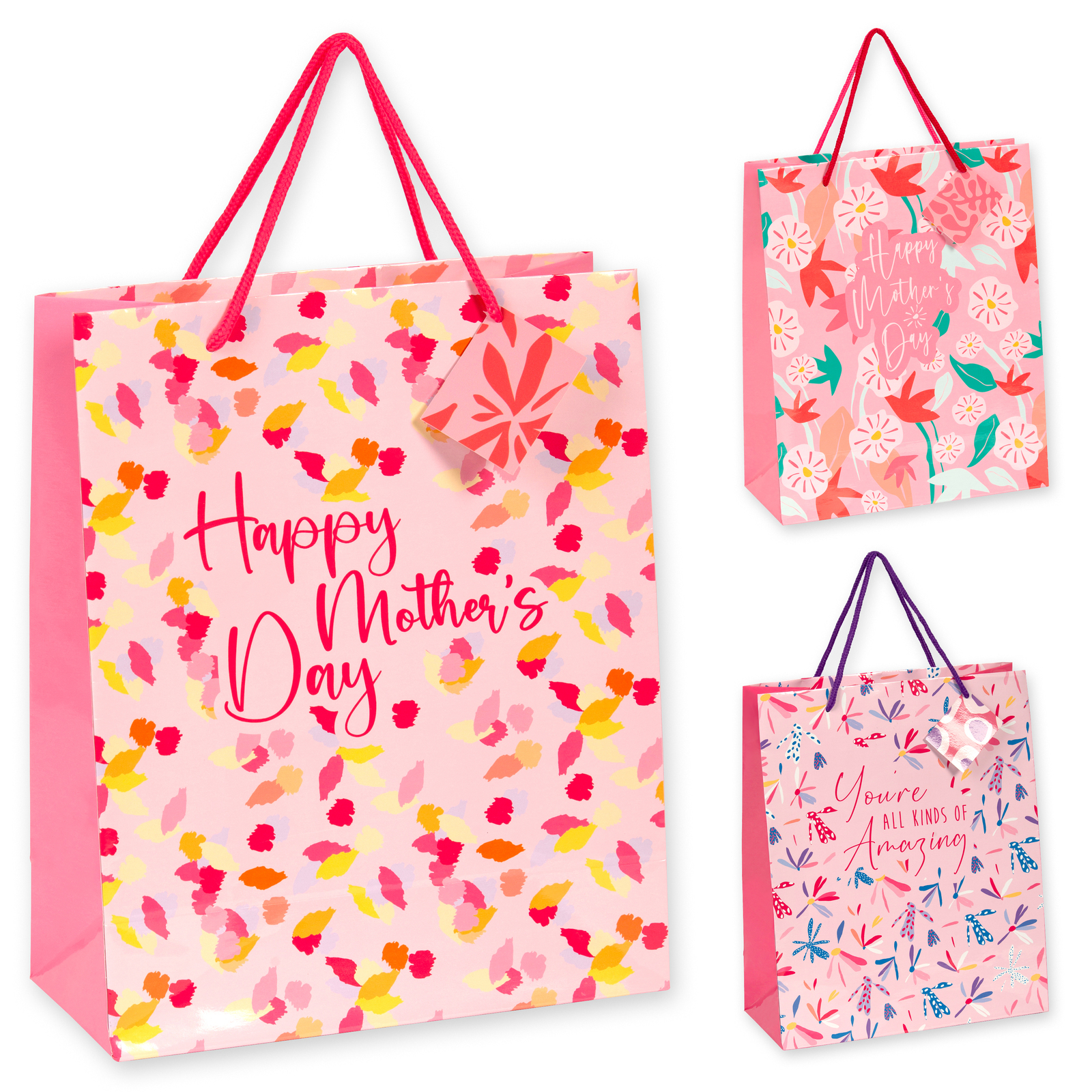 Large Gift Bag With Gift Tag - Pack of 12 ($1.50 ea)