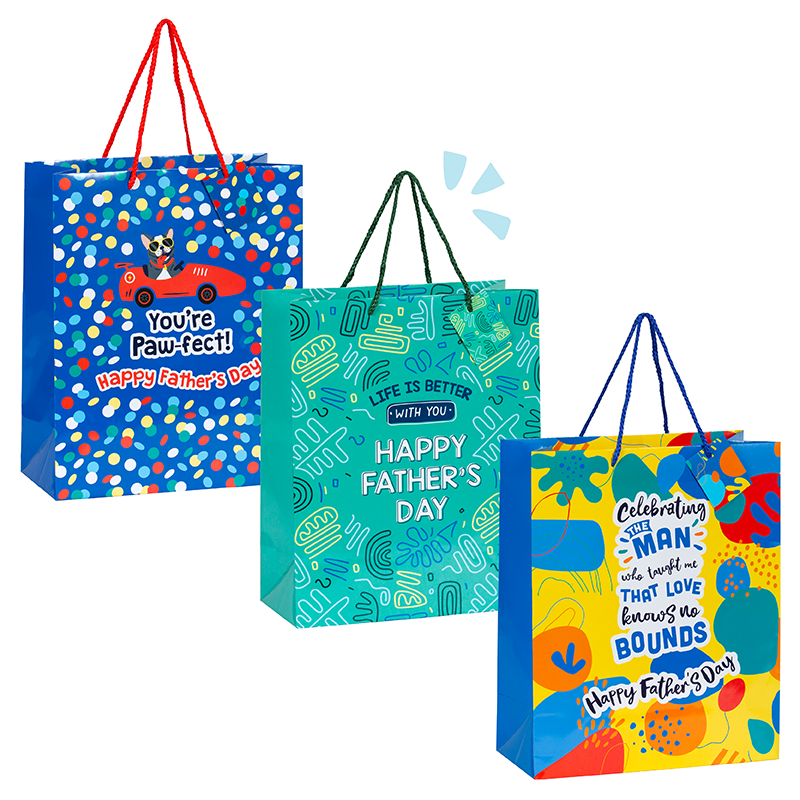Large Gift Bag With Gift Tag - Pack of 12 ($1.20 ea)