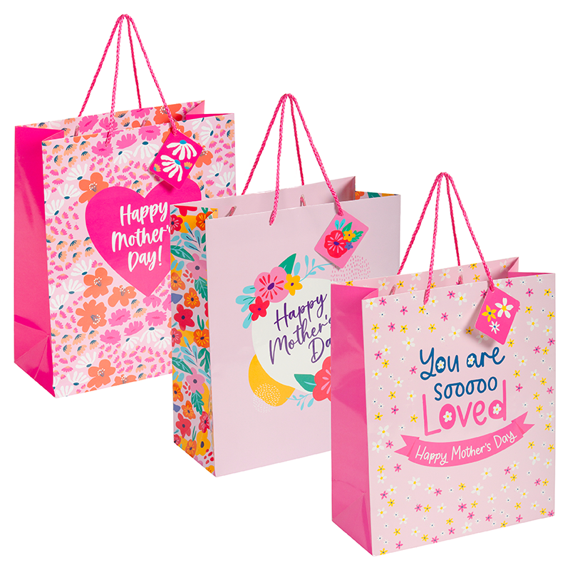 Large Gift Bag With Gift Tag - Pack of 12 ($1.40ea)