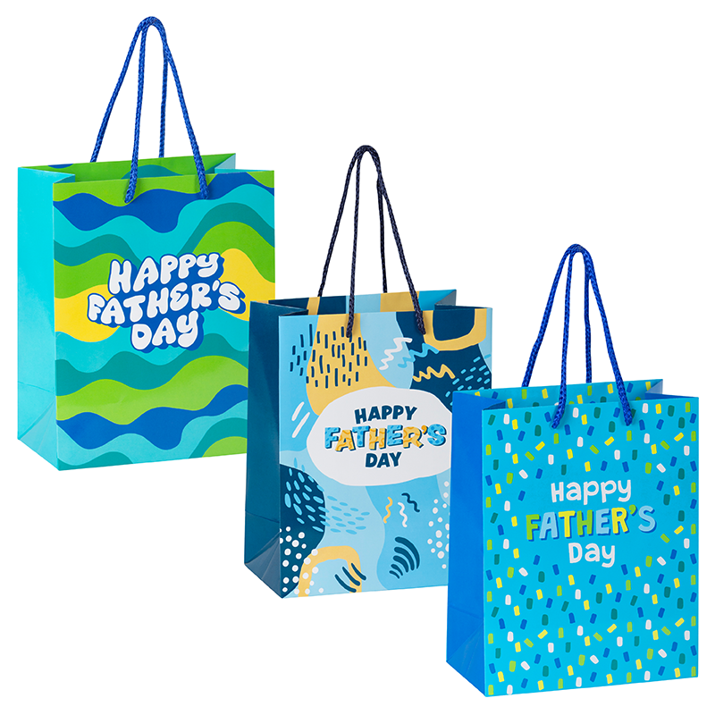 Medium Gift Bag - Pack of 12 ($1.00ea)
