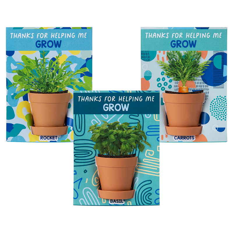 Seed Pot