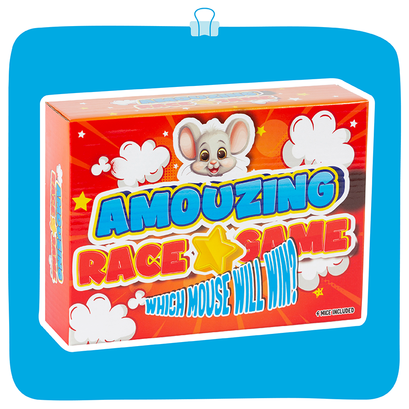 Amouzing Race Game