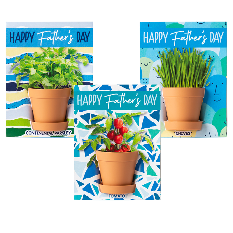 NEW - Seed Pot