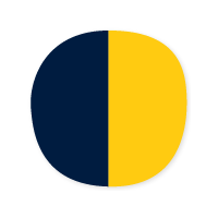 Navy and Gold